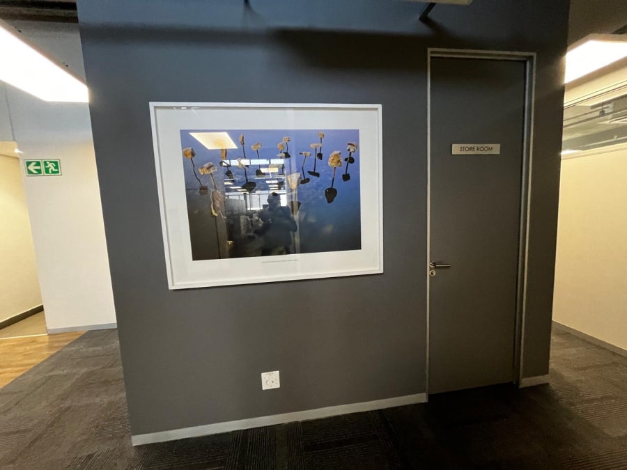 To Let commercial Property for Rent in Bo Oakdale Western Cape